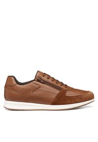 Sneakersy Geox. Kolor: brązowy #1
