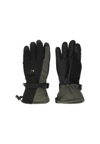 Rękawice narciarskie Whistler Fenwick. Kolor: wielokolorowy, czarny, zielony. Sezon: zima. Sport: narciarstwo #1