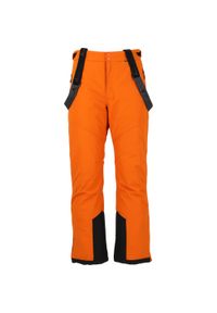 Dziecięce spodnie narciarskie Whistler Drizzle 10000. Kolor: czarny, wielokolorowy, pomarańczowy. Sezon: zima. Sport: narciarstwo #1