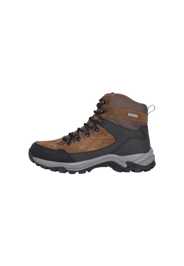 Buty trekkingowe Whistler Detion WP. Kolor: czarny, brązowy, wielokolorowy. Sport: turystyka piesza
