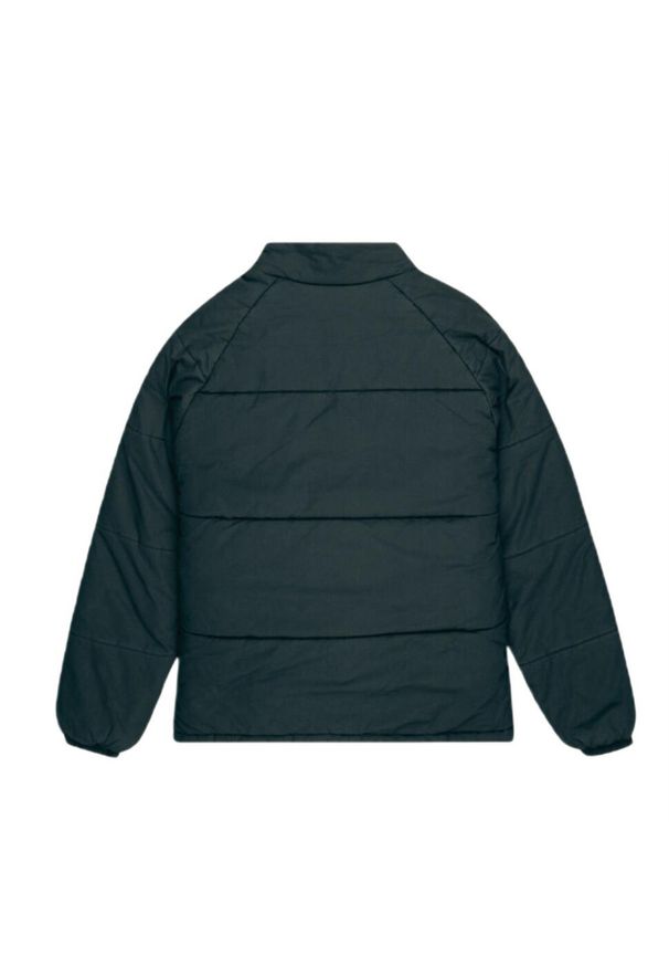 Kurtka sportowa męska Element Oddysey Puffa. Kolor: zielony. Materiał: elastan, poliamid. Sport: turystyka piesza