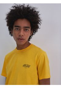 Big-Star - Koszulka męska z nadrukiem żółta Omaran 201. Kolor: żółty. Materiał: bawełna. Wzór: nadruk #5
