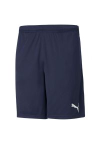 Puma - Męskie Spodenki TeamRISE. Kolor: niebieski