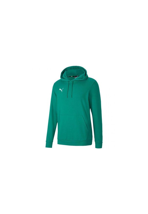 Bluza dla dzieci Puma teamGOAL 23 Casuals Hoody Jr zielona. Kolor: zielony