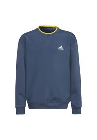 Adidas - Bluza dziewczęca adidas ALL SZN. Kolor: zielony, wielokolorowy, żółty. Sport: taniec, joga i pilates