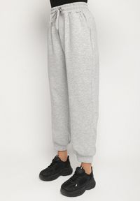 Born2be - Szary Komplet Dresowy Rozpinana Bluza i Spodnie Joggery z Bawełną Anarrise. Kolor: szary. Materiał: dresówka, bawełna #3