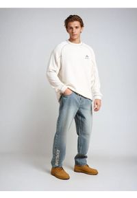 Sinsay - Jeansy jogger - zielony. Kolor: zielony #1