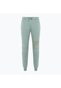 Spodnie damskie Nike Sportswear Club Fleece. Kolor: zielony