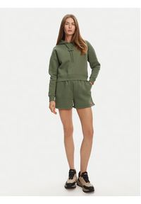 Hunter Szorty sportowe Lunan HARW0058251 Khaki Regular Fit. Kolor: brązowy. Materiał: bawełna #5