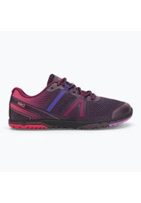 XERO SHOES - Buty do biegania damskie Xero Shoes HFS II. Kolor: fioletowy