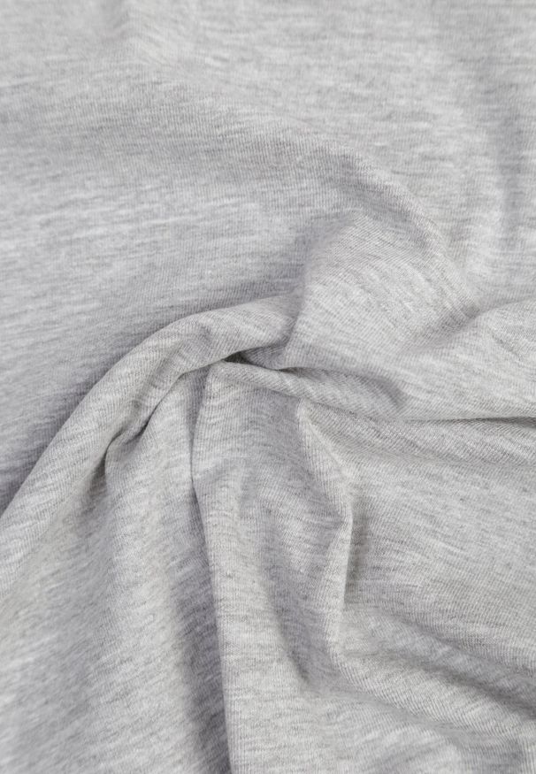 Renee - Jasnoszary T-shirt Ariema. Kolor: szary. Materiał: dzianina. Długość rękawa: krótki rękaw. Długość: krótkie. Wzór: gładki