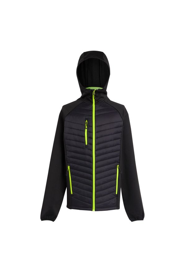 Regatta - Męska Pikowana Kurtka Hybrydowa Navigate. Kolor: żółty, czarny, wielokolorowy, zielony. Materiał: puch. Sport: turystyka piesza