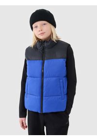 4f - 4F Bezrękawnik puchowy z wypełnieniem syntetycznym chłopięcy - niebieski 152 (11-12 lat). Okazja: na co dzień. Typ kołnierza: kołnierzyk stójkowy. Kolor: niebieski. Materiał: puch, syntetyk. Długość rękawa: bez rękawów. Długość: długie. Sezon: lato. Styl: casual, klasyczny, sportowy #1