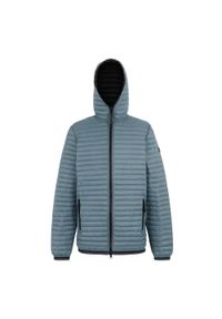 Regatta - Męska pikowana kurtka Rigain. Kolor: szary. Materiał: tkanina, poliamid, puch. Sport: turystyka piesza #1