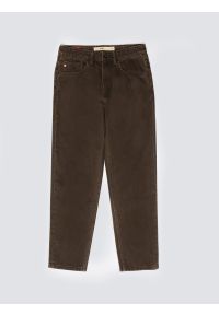 Big-Star - Jeansy męskie z kolekcji Authentic brązowe Ates 888. Kolor: brązowy. Styl: klasyczny