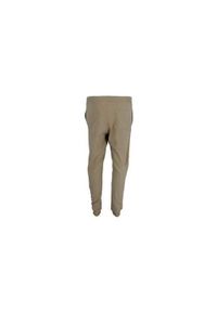 Spodnie sportowe damskie Champion Rib Cuff Pants. Kolor: zielony. Materiał: dresówka