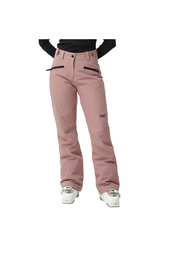 Spodnie narciarskie dla kobiet Colourwear W Cork. Kolor: beżowy, wielokolorowy, brązowy. Sezon: zima. Sport: narciarstwo