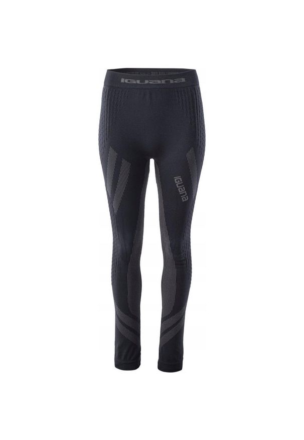 Iguana - Damskie Spodnie Termoaktywne Gambit Z Warstwą Bazową. Kolor: szary, wielokolorowy, brązowy, czarny. Sport: turystyka piesza