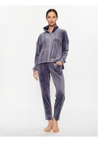 Triumph Spodnie piżamowe Cozy Comfort Velour Trousers 10216539 Szary Regular Fit. Kolor: szary. Materiał: welur