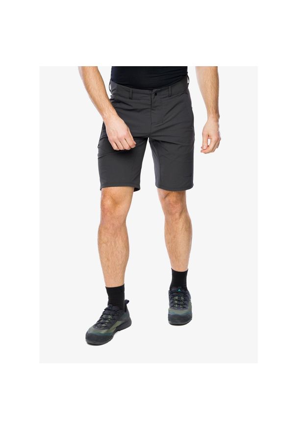 Spodenki turystyczne męskie Inov-8 Venture Lite 11in Short. Kolor: szary. Sport: turystyka piesza