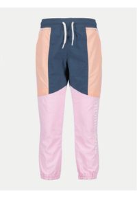 Didriksons Spodnie dresowe Hjortron 505209 Różowy Active Fit. Kolor: różowy. Materiał: syntetyk #1
