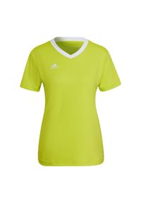 Koszulka piłkarska damska Adidas Entrada 22 Jersey. Kolor: wielokolorowy, zielony, biały. Materiał: jersey. Sport: piłka nożna