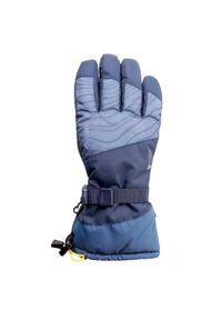 Elbrus - Rękawice Narciarskie Męskie Maiko. Kolor: niebieski. Sezon: zima. Sport: narciarstwo #1