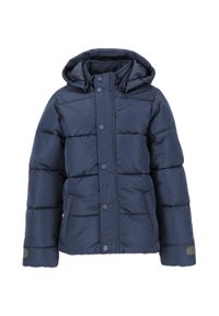ZigZag - Kurtka dziecięca Zigzag Lusano. Kolor: niebieski, różowy, wielokolorowy. Materiał: puch. Sezon: zima. Styl: sportowy