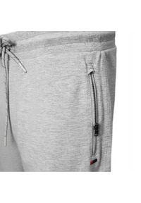 Wygodne i Lekkie Męskie Spodnie Dresowe - Pako Jeans - Popielate. Kolor: szary. Materiał: wiskoza, bawełna. Styl: sportowy #2