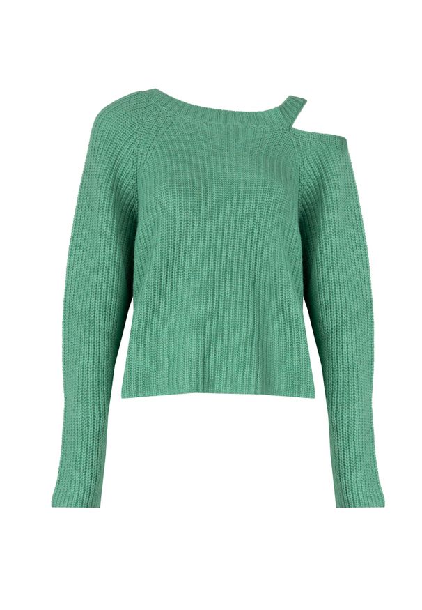 Pinko Sweter "Marsala" | 1G189N A08G | Kobieta | Zielony. Kolor: zielony. Materiał: wełna, wiskoza, poliester, kaszmir, poliamid