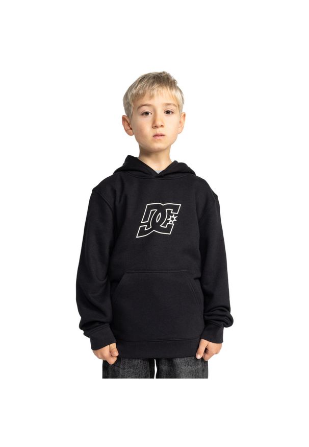DC Shoes - Bluza z kapturem dla Chłopcy PALLET PH Czarny. Typ kołnierza: kaptur. Kolor: brązowy, zielony, wielokolorowy. Materiał: tkanina, poliester, bawełna. Sport: skateboard