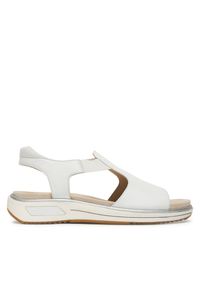Sandały Ara. Kolor: biały #1