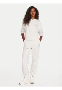Tommy Jeans Spodnie dresowe DW0DW21702 Szary Regular Fit. Kolor: szary. Materiał: bawełna