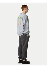 The North Face Bluza Expedition Celebration NF0A8E3G Szary Relaxed Fit. Kolor: szary. Materiał: bawełna #4
