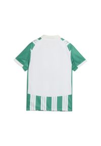 Puma - Młodzieżowa koszulka domowa SK Rapid Wiedeń 25/26 PUMA White Sport Green. Kolor: zielony, biały, wielokolorowy. Wzór: paski. Sport: piłka nożna
