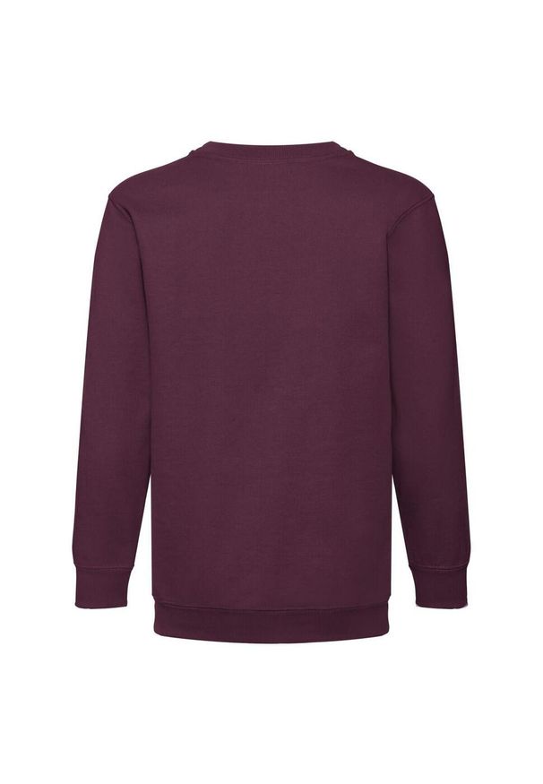 FRUIT OF THE LOOM - Bluza Dziecięca Premium W Komplecie. Kolor: czerwony, wielokolorowy, brązowy