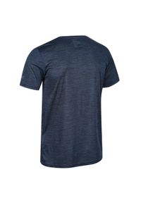 Regatta - T-Shirt Męski Fingal Edition. Kolor: szary, niebieski, wielokolorowy