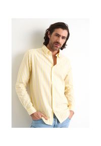Ochnik - Koszula męska w żółte paski. Kolor: żółty. Materiał: bawełna. Wzór: paski