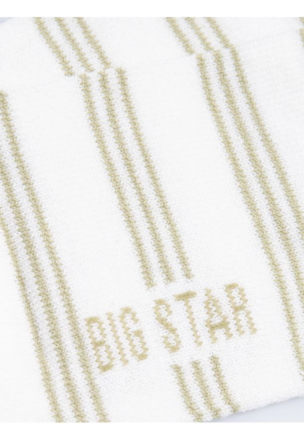 Big-Star - Stopki damskie z dodatkiem lnu w paski khaki Pastella 300. Kolor: zielony. Materiał: len. Wzór: paski