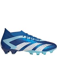 Adidas - Buty piłkarskie adidas Predator Accuracy.1 Ag M IE9487 niebieskie. Zapięcie: sznurówki. Kolor: niebieski. Materiał: guma, syntetyk. Szerokość cholewki: normalna. Sport: piłka nożna