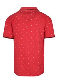 Koszulka Polo - Pako Jeans - Cynober (Chińska Czerwień), Drobny Wzór. Okazja: na co dzień. Typ kołnierza: polo. Kolor: czerwony. Materiał: bawełna. Wzór: nadruk. Styl: casual #2