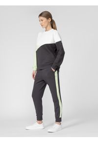 4f - Spodnie dresowe joggery damskie. Kolor: szary. Materiał: dresówka