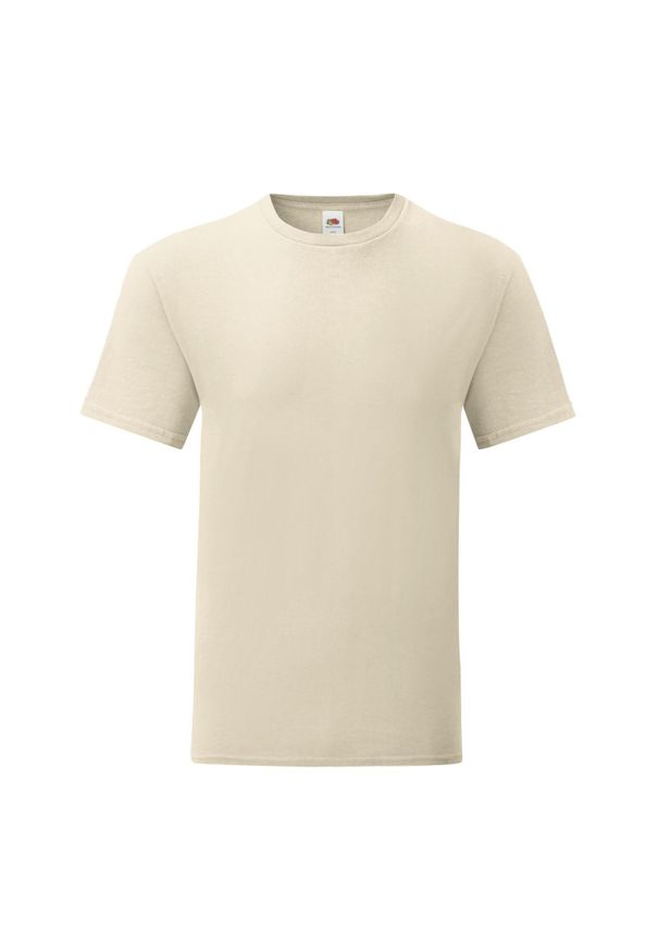 FRUIT OF THE LOOM - Kultowa Koszulka Unisex Dla Dorosłych. Kolor: szary, beżowy, wielokolorowy. Sport: turystyka piesza