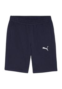 Puma - Shorty Męskie Team Goal Casuals. Kolor: niebieski. Sport: turystyka piesza