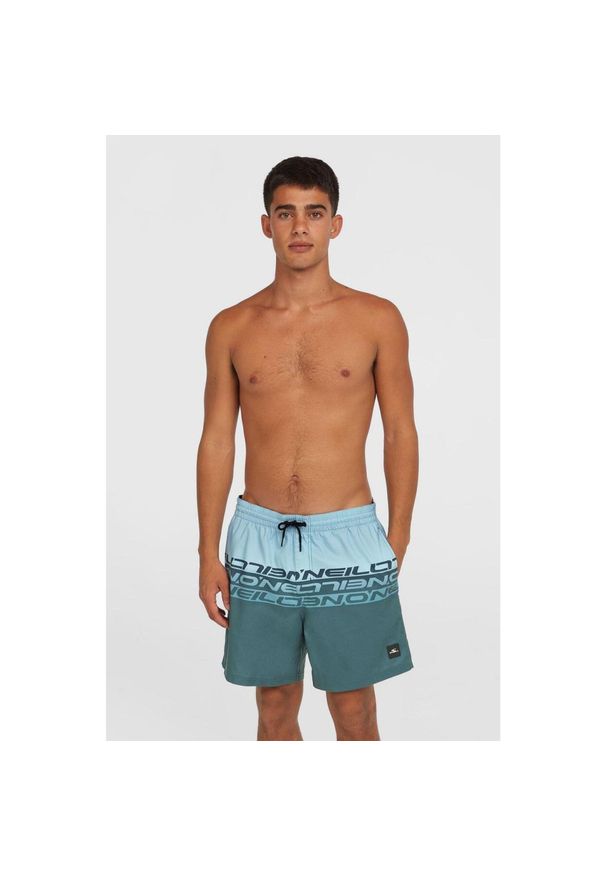 Szorty plażowe męskie O'Neill Cali Stripe 16''. Kolor: niebieski