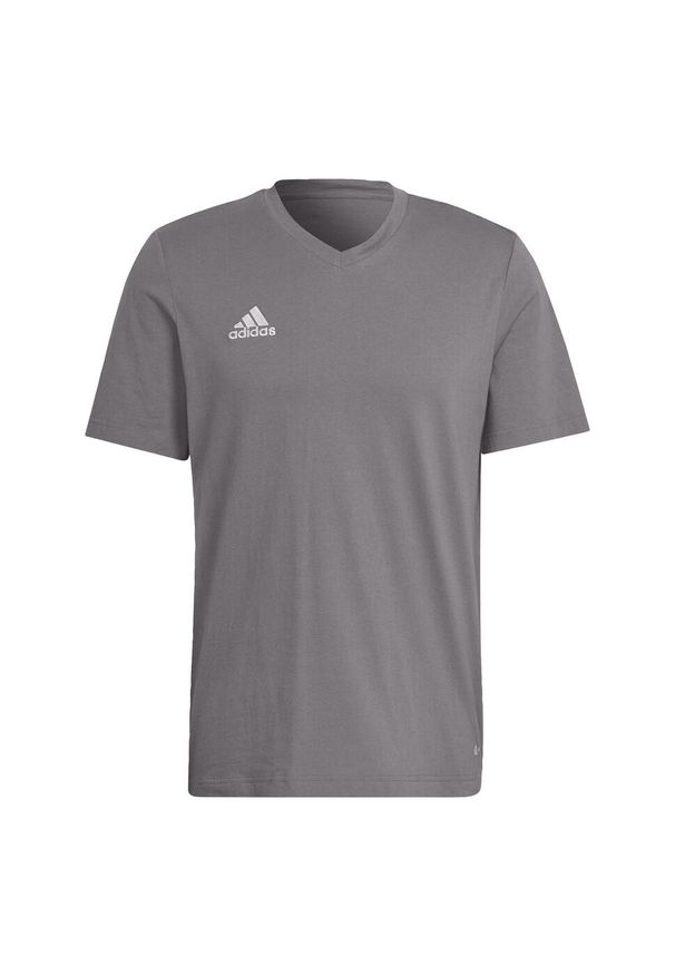 Adidas - Entrada 22 Tee. Kolor: szary. Sport: piłka nożna