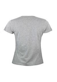PEAK MOUNTAIN - Koszulka damska Peak Mountain Atresor. Kolor: szary. Długość rękawa: krótki rękaw. Długość: krótkie. Sport: outdoor #2