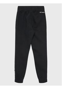 columbia - Columbia Spodnie dresowe Trek™ II 2031931 Czarny Regular Fit. Kolor: czarny. Materiał: bawełna