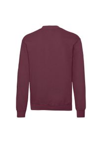 FRUIT OF THE LOOM - Męska Klasyczna Bluza Wkładana Przez Głowę. Kolor: czerwony, wielokolorowy, brązowy