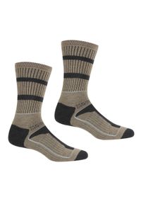 Regatta - Skarpety męskie Samaris 3Season 2-pak. Kolor: brązowy, fioletowy. Materiał: włókno. Sport: turystyka piesza #1